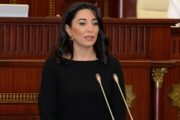 Ermənistan məkrli siyasətindən əl çəkmir - Ombudsman